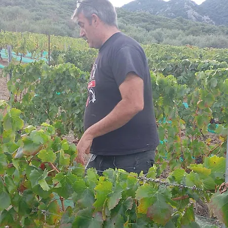 Casa Gioconda Bed & Breakfast