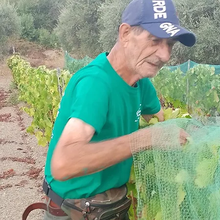 Bed & Breakfast Casa Gioconda Nuxis