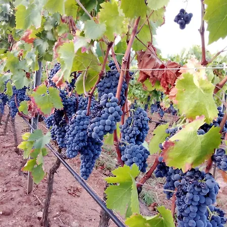 فندق مبيت وإفطار Casa Gioconda