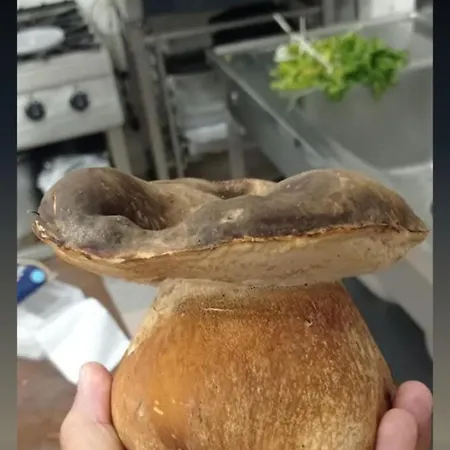 Casa Gioconda فندق مبيت وإفطار Nuxis