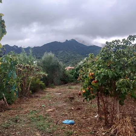 Casa Gioconda Frühstückspension