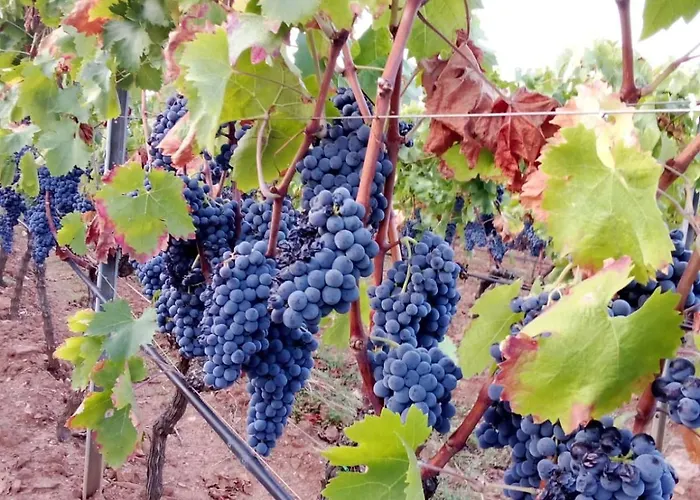 Frühstückspension Casa Gioconda