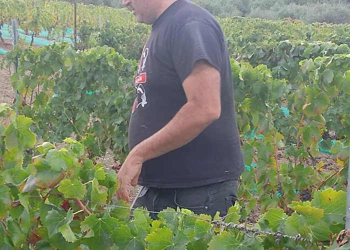 Casa Gioconda Bed and breakfast