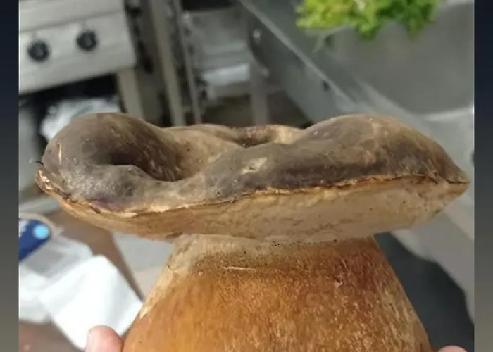 Casa Gioconda Frühstückspension Nuxis