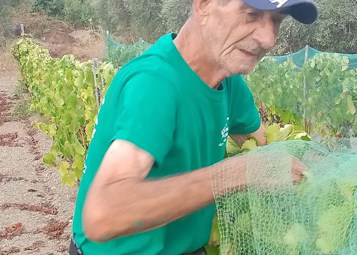 Bed and breakfast Casa Gioconda Nuxis