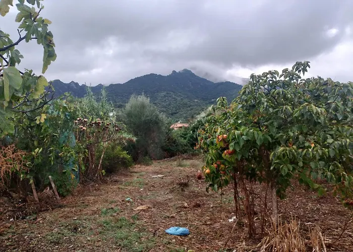 Casa Gioconda Frühstückspension