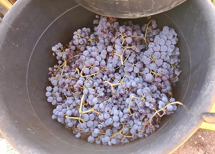 Bed and breakfast Casa Gioconda 3*