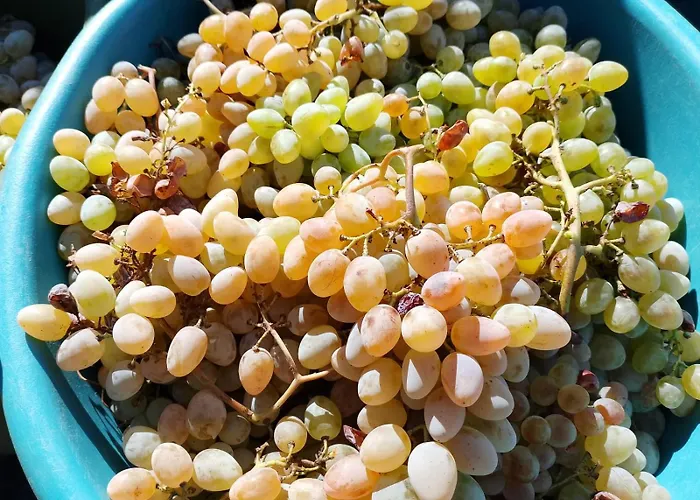 Casa Gioconda Bed and breakfast Nuxis